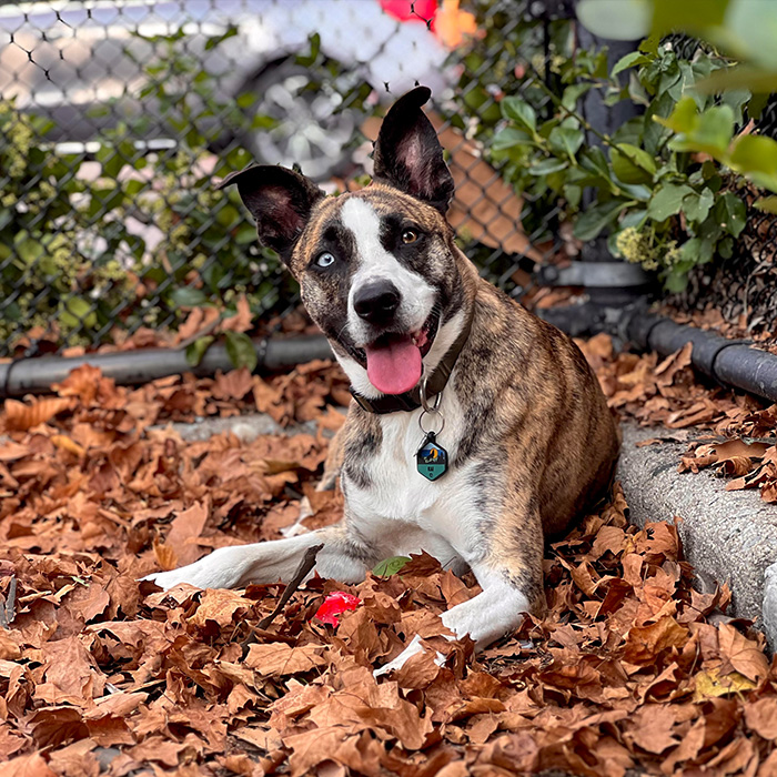 kai with ball